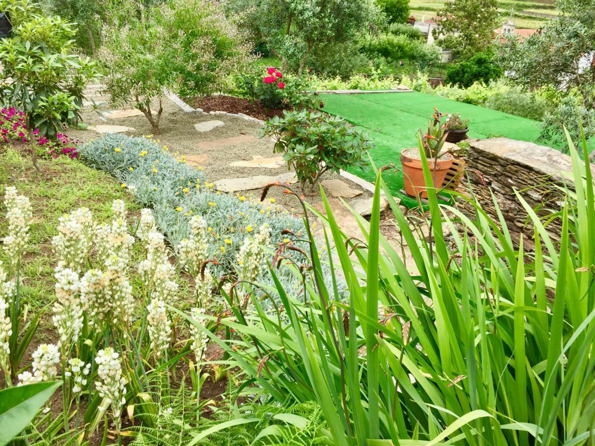 Casa Lia da Pôrta Villa Caminha Bagian luar foto