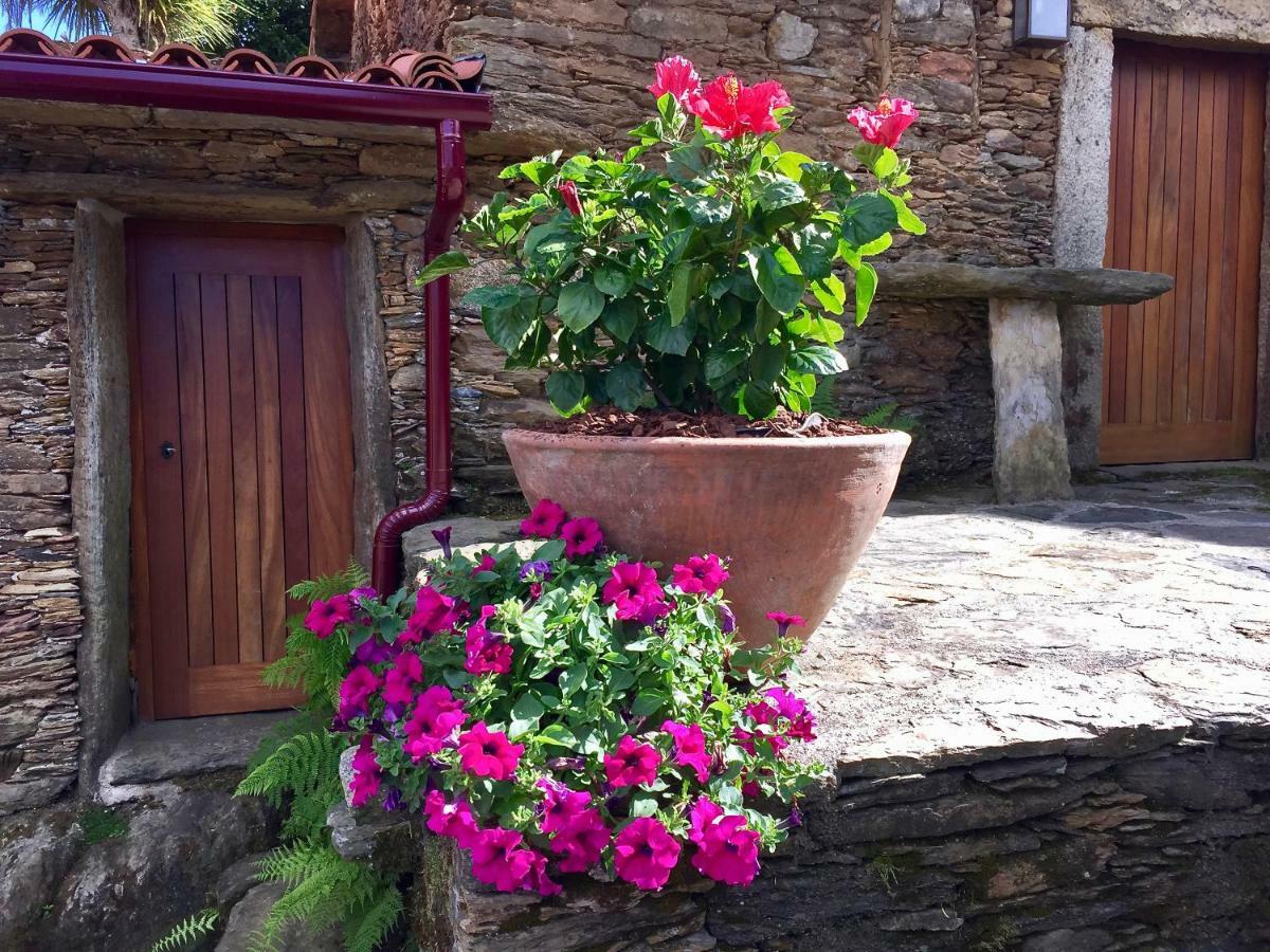 Casa Lia da Pôrta Villa Caminha Bagian luar foto