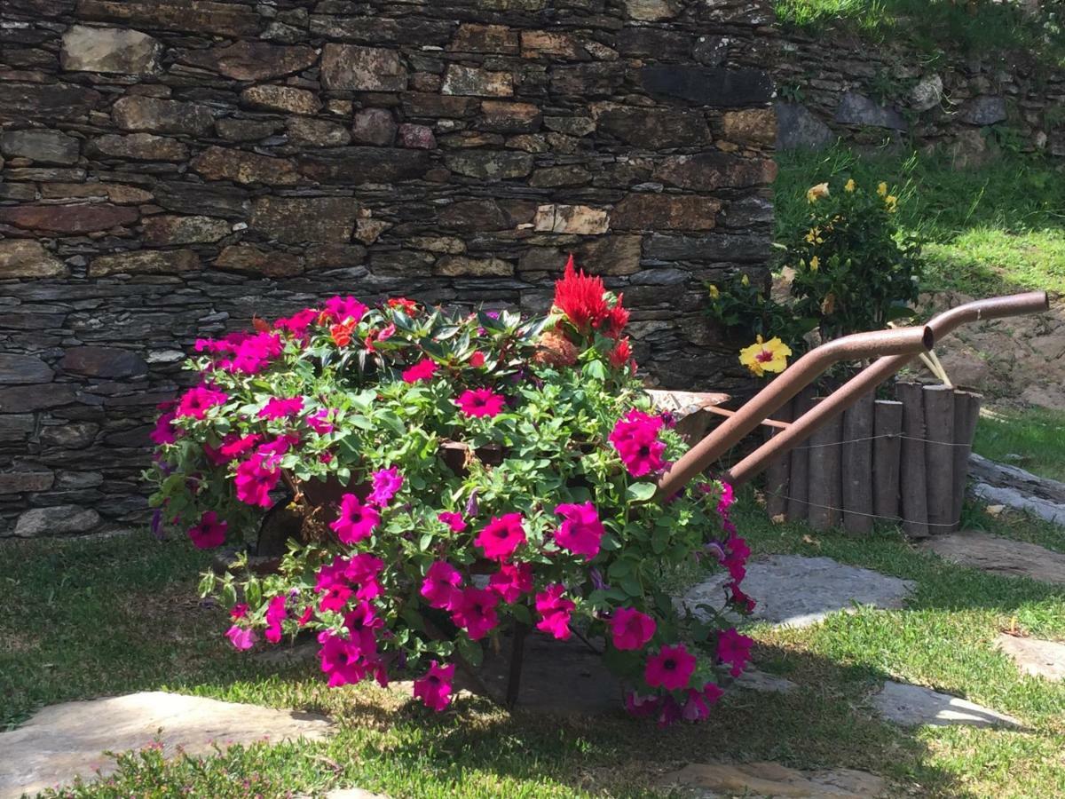 Casa Lia da Pôrta Villa Caminha Bagian luar foto